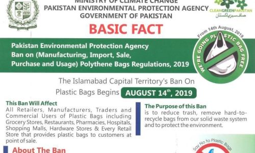 Plastic Bags and Waste Management Crises In Pakistan